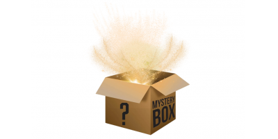 The Black Friday 2024 Bronze Mystery Box